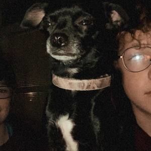 Meet your Posher, Alex